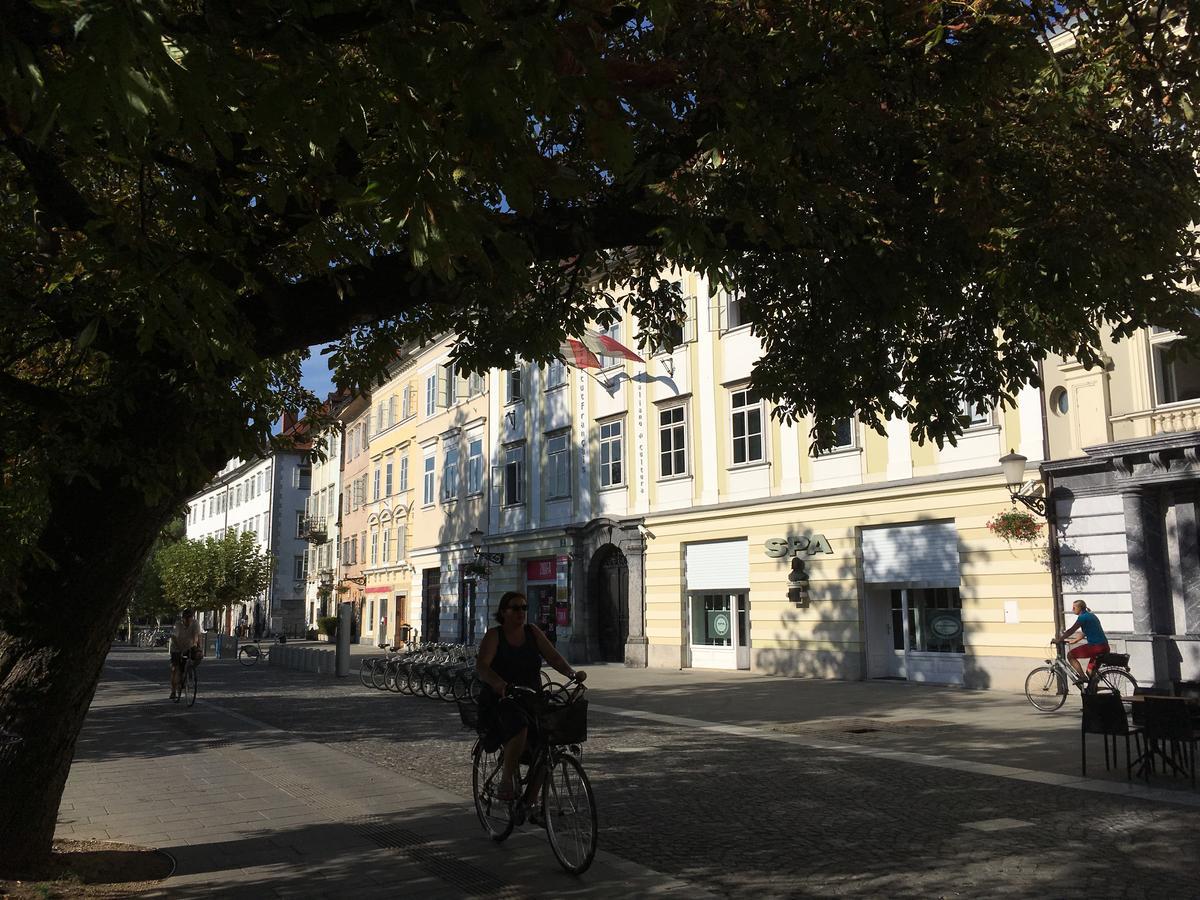 Kva * Ljubljana